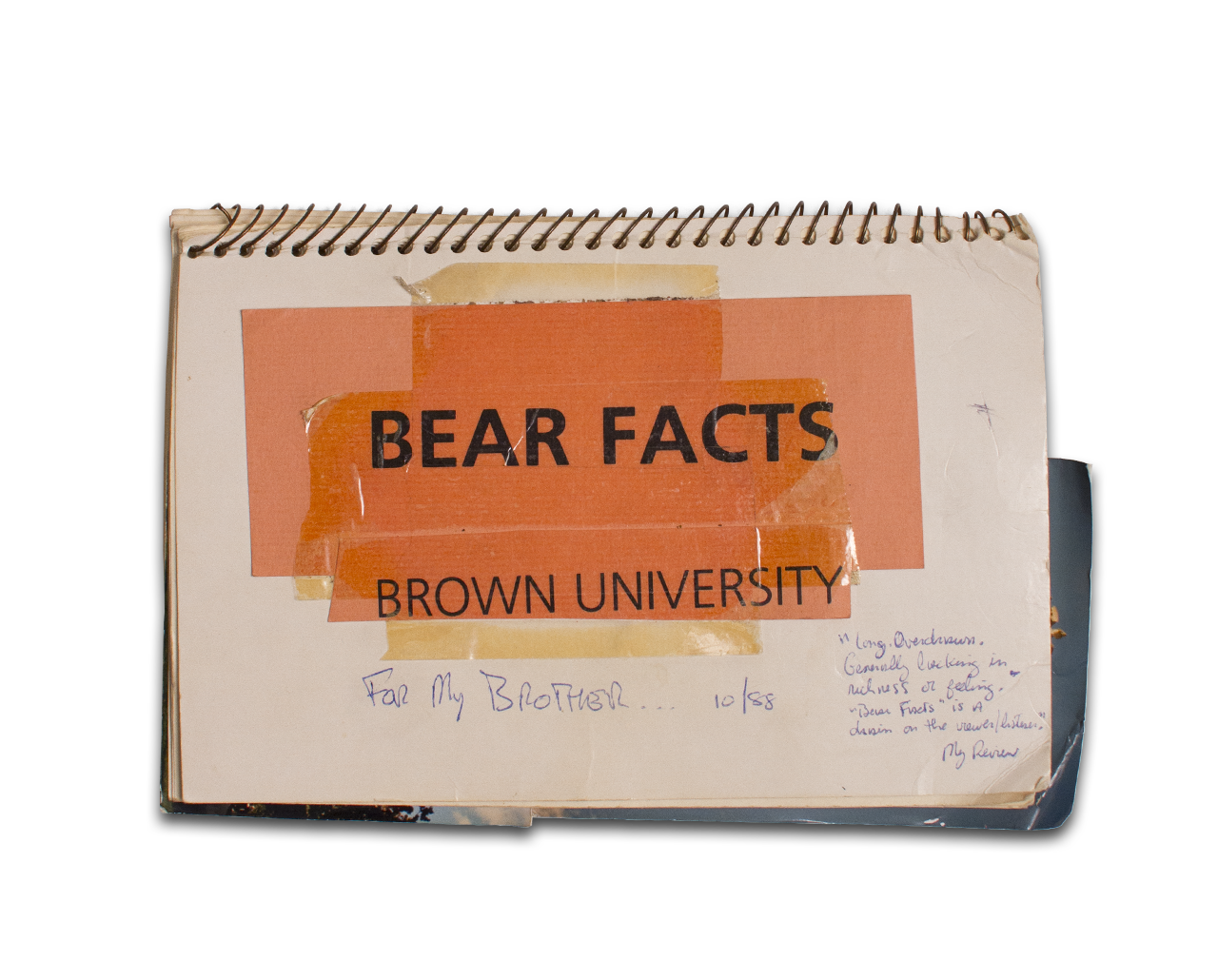 Bear Facts